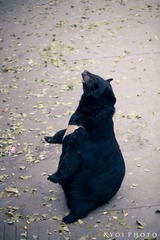 IMG_9672.JPG