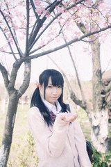 桜1.jpg