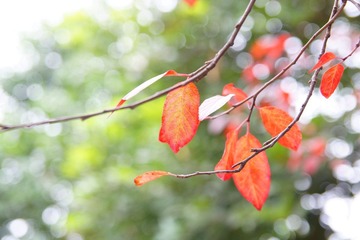 DSC05707.JPG