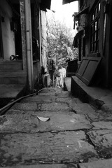 DSC05725.jpg
