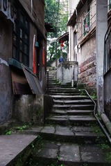 DSC05727.jpg