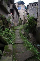 DSC05740.jpg