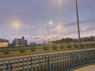 56365