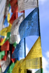_MG_3225.jpg