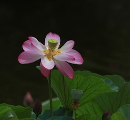 001