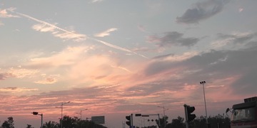 503