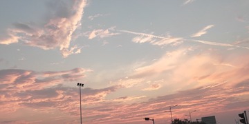 506