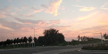 513
