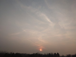 364