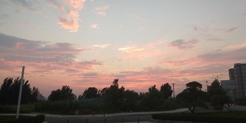 530