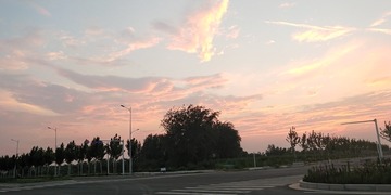 516