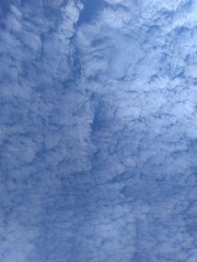 135