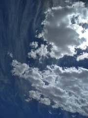 226