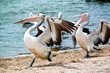 IMG_2007.jpg
