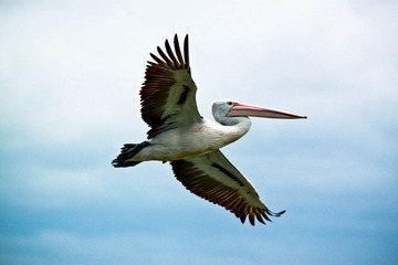 IMG_2069.jpg