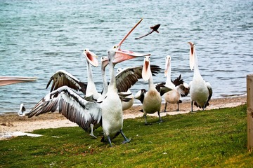 IMG_2385.jpg
