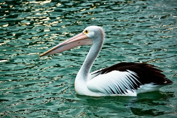IMG_2792.jpg