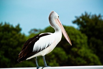 IMG_2827.jpg