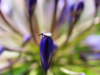 IMG_0273.jpg