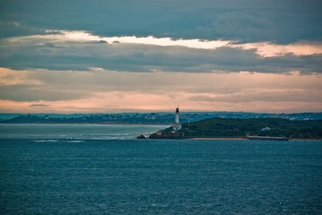 IMG_8699.jpg
