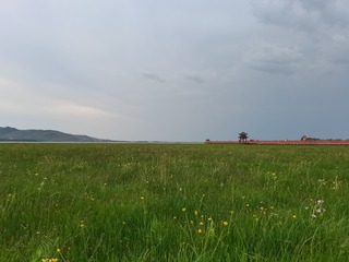 53763