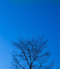1000052883
