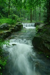 DSC_2831.JPG