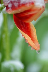 DSC_0065.JPG