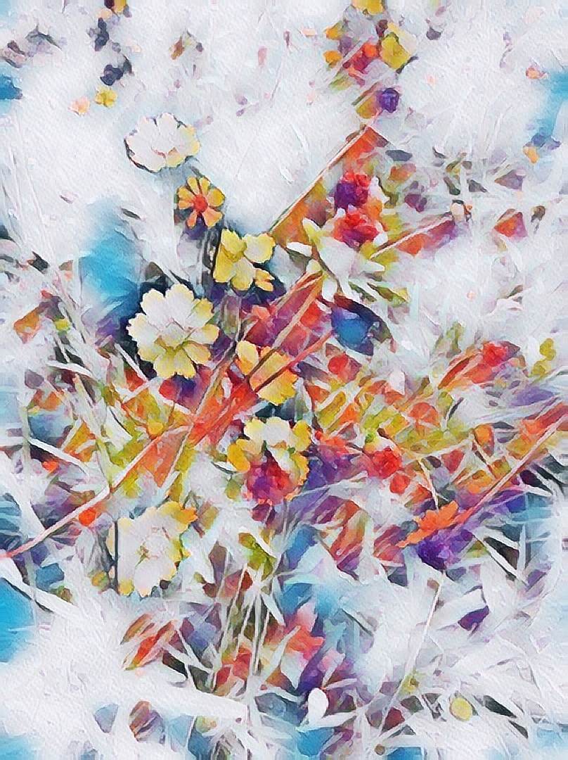 花花绿绿画画 - 图虫