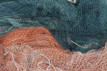 IMG_9586.JPG