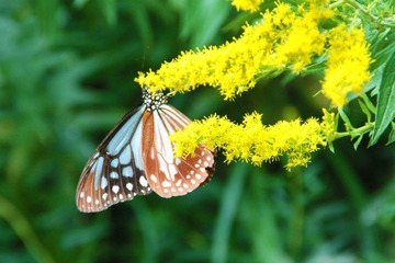 IMG_9637.JPG