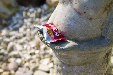 IMG_9659.JPG