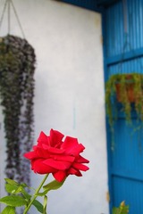 IMG_9667.JPG
