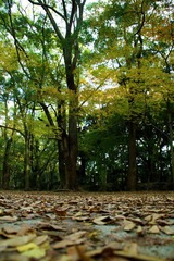 IMG_0119.JPG