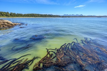 IMG_3404.JPG