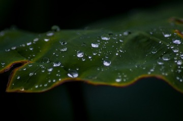 2018-06-09 065650