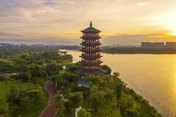 DJI_0619