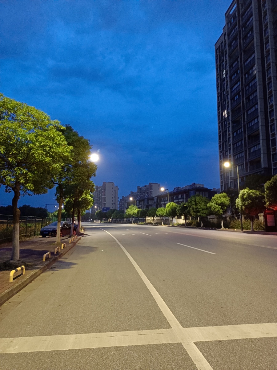 凌晨四点钟我看见海棠花未眠