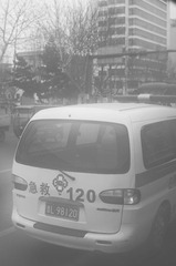 DSC_0246.JPG
