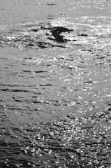 DSC_0087.JPG