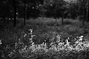 DSC_0019.JPG
