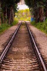 1000144794