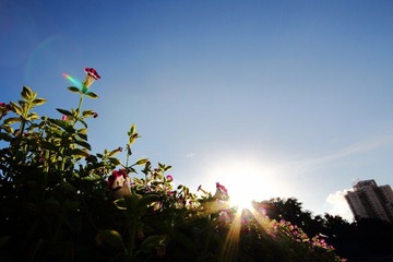 IMG_0093.JPG