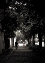 _IGP2829.jpg