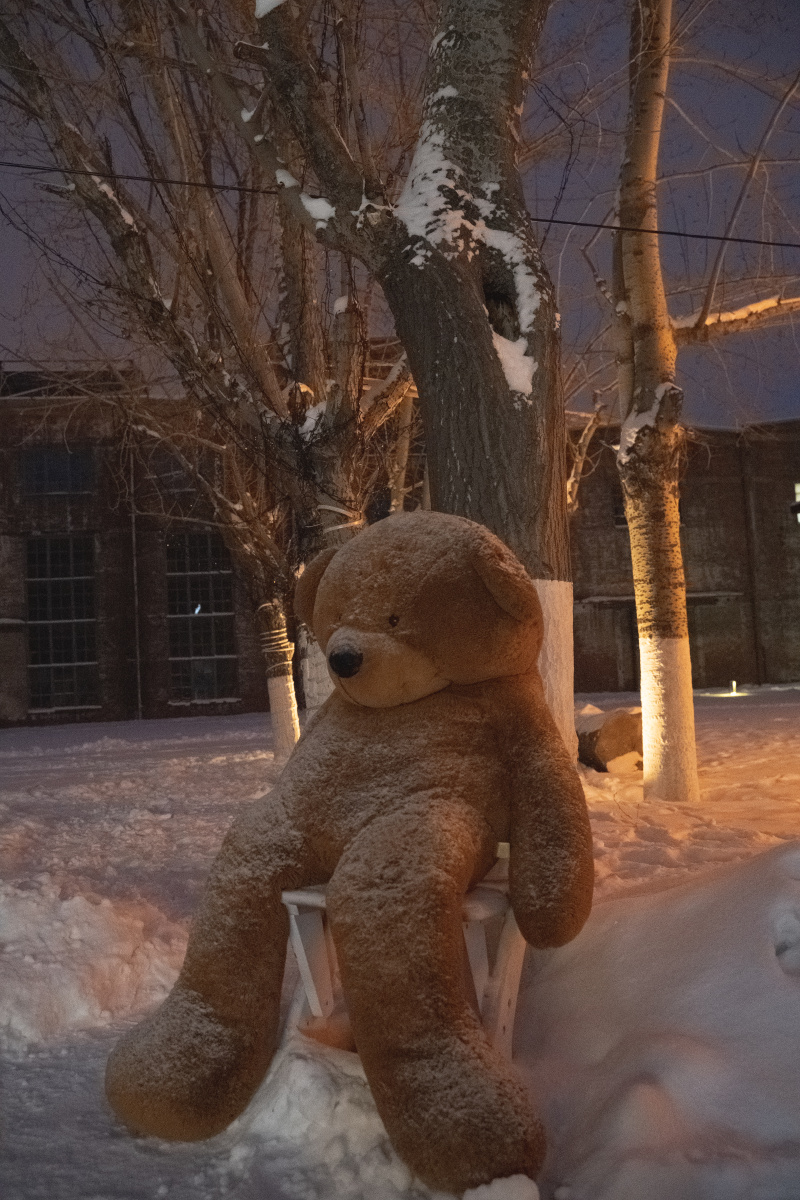 这是一只在雪地里孤独的小熊像极现在的我