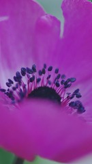 1305944