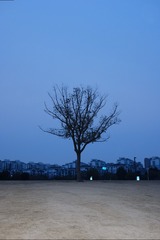07A67A87-150A-435C-A2D5-4302AE4C4103/L0/001