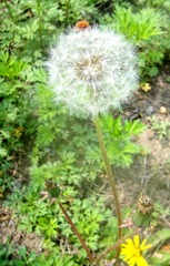 DSC04892.JPG