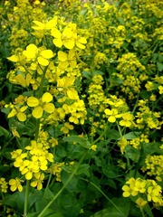 DSC04972.JPG