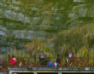 DSCF9793.jpg